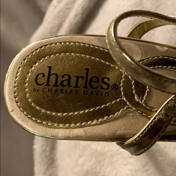 Charles by Charles David Strappy Gold Sandals - Picture 6 of 9